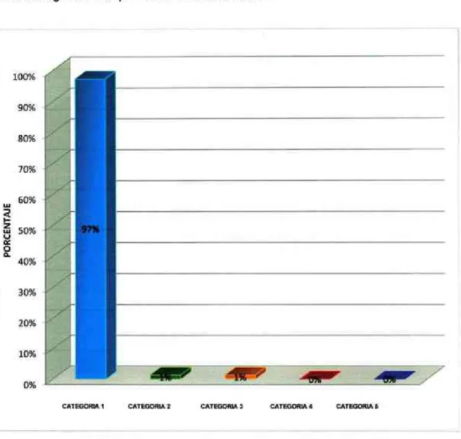 Gráfico 07:  Categoría en  la que usualmente se encontró 
