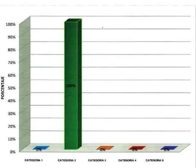 Gráfico  10: A dónde pasaron  los que se cambiaron de categoría 