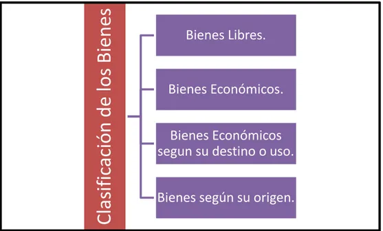 Figura 7: Clasificación de los bienes 