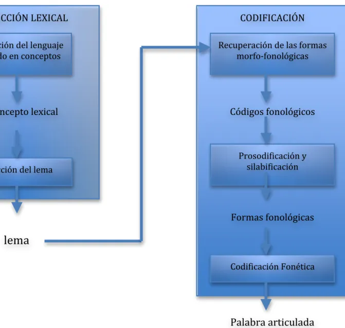 Fig.  1.  Sistema  relacionados  al  acceso  lexical  en  la  producción  de  palabras,  Levelt, 2001 (en Salazar y Pelayo, 2012) 