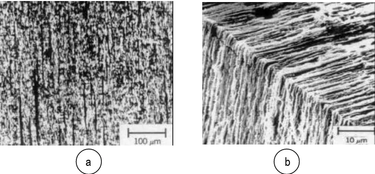 figura 1.2. a) Micrografía óptica y  b) micrografía electrónica de barrido de una crazeconvencional  [Dettenmaier en Kausch, 1983].