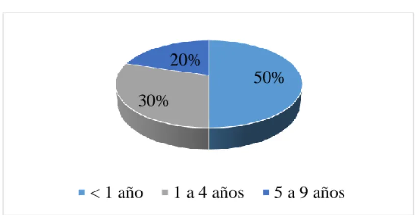 Tabla 9. Tiempo de labor en la empresa 