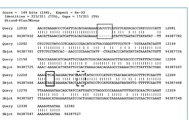Figure 7. Alignment between mtDNA (region 12032-12340) and a NUMT located in Chromosome 1 (region 94387537-94387832)