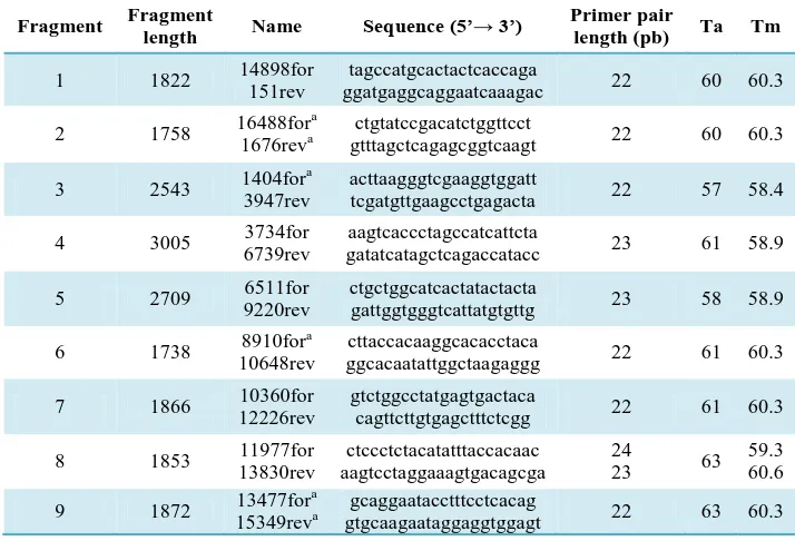 Table 1- Validated primers to amplify the complete mtDNA in 9 overlaping fragments. Melting temperatures (Tm) and annealing temperature (Ta) for each pair of primers are also presented