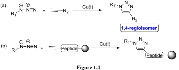Figure 1.4  