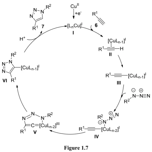 Figure 1.7  