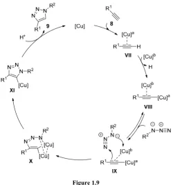 Figure 1.9  