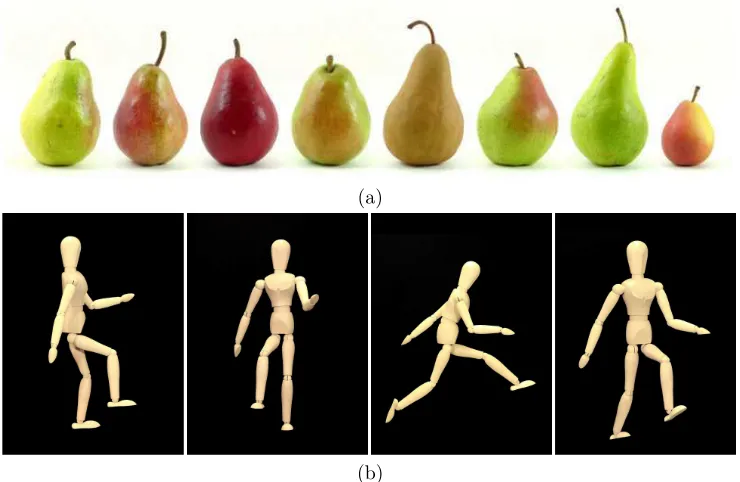 Figure 1.1: (a) Pears are an example of objects which are simple to detect, sincelittle variations can be found among diﬀerent samples