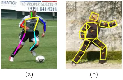 Figure 1.3: (a) Binary human body segmentation. (b) Multi-label human bodysegmentation.