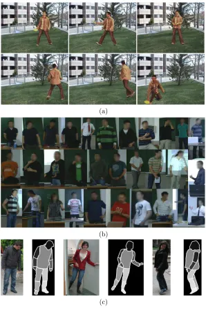 Figure 3.2: (a) Samples of the cVSG corpus and (b) UBDataset image sequences,and (c) HumanLimb dataset.
