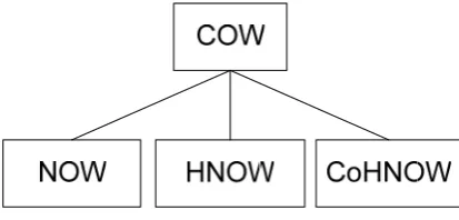 Figura 2-2: Subdivisión de COW 