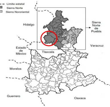 Figura 1.3.1 tomada de Wright et al., 2012 p.p 74: Mapa del  Estado de Puebla en donde se resalta en un círculo color rojo  la ubicación del municipio de Chignahuapan