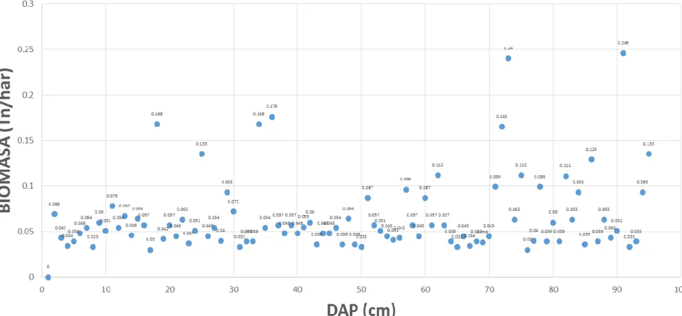 Figura 6. Dispersión entre los distintos arboles muestreados de la parcela 01. (Fuente: Elaboración propia)