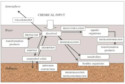 Figura 1.5. Destino y procesos que afectan a los compuestos químicos en un sistema 