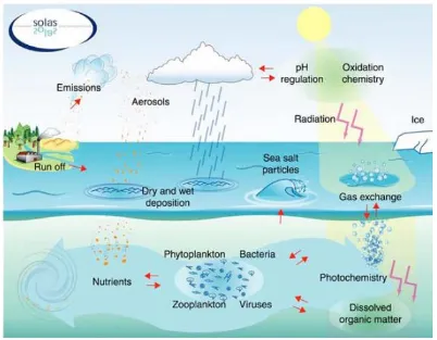 Figura 1.6. Procesos que intervienen en la superficie del océano y la parte baja de la atmósfera (SOLAS, 2004)
