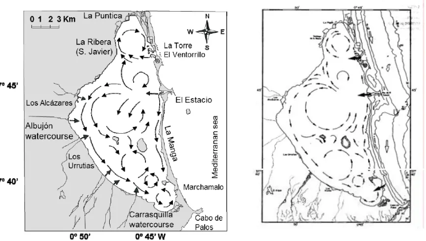 Figura 1.7. Izquierda, patrón circulatorio de la laguna del Mar Menor. Derecha, modelo circulatorio basado en distribución de sedimentos (Mendoza, 2011)
