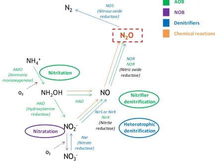Figure 1.4  nitrogen removal, and the microbial communities and enzymes involved (modified from Desloover et Graphical representation of N2O production and consumption pathways during biological al., 2012) 