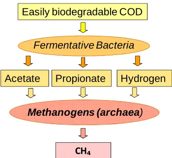 Figure 1.6 Graphical representation of CH4 production, including compounds and groups of microorganisms involved