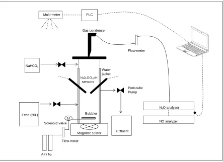 Figure 3.1 Scheme of the experimental set-up designed for the studies presented in chapters 4 and 5