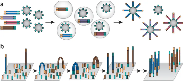 Figure 1.5: Next-generation sequencing technologies (Shendure et al,2005).(a) The 454 and the Polonator platforms rely on emulsion PCR to amplify clonalsequencing features