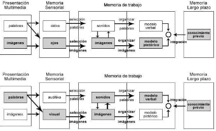 fig 1. Procesos cognitivos que suceden en el aprendizaje multimedia (Mayer, 1997).