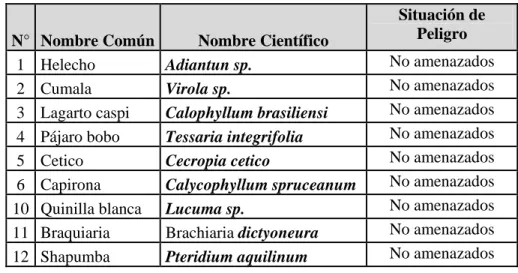 Cuadro Nº 10: Especies de flora identificadas en el ámbito del estudio 