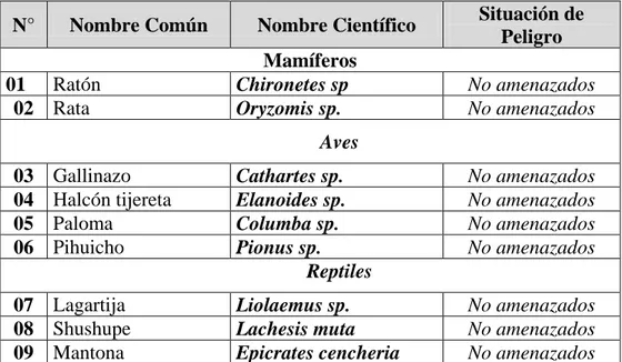 Cuadro Nº12: Fauna identificada en el ámbito del estudio, son las  siguientes. 