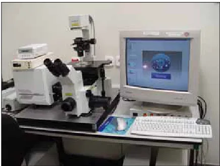 Fig.12. Equipo de microscopia confocal. 