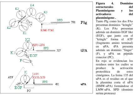 Figura estructurales 
