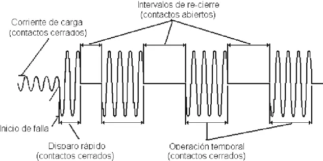 Fig. 1.1 Secuencia típica de operación de un restaurador [1]. 