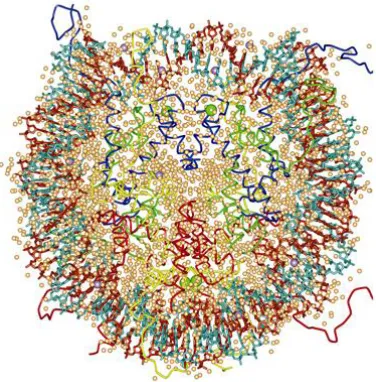 Figure 1: Nucleosome core at 1,9Å resolution 
