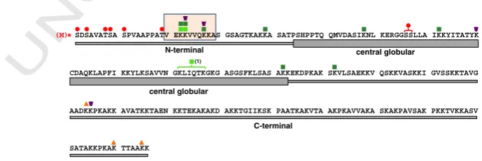 Fig. 2 –mapped by top-down MS analysis of dH1 (seeacetylation (red asterisk) is indicated
