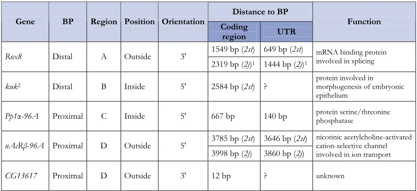 TABLE(1999, 2001) single-copy sequence surrounding the breakpoints where each gene is situated; Position, location of  3 | Genes adjacent to inversion 2j breakpoints