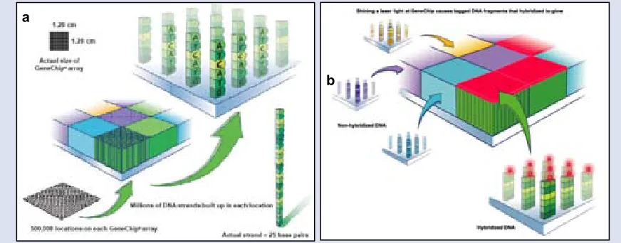 FIGURE 14 | 