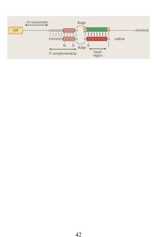 Figure 4. Target recognition rules.  MicroRNAs (miRNAs) interact with theirmRNA targets by base pairing