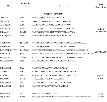 Table M.1. Oligonucleotides used in this study.  