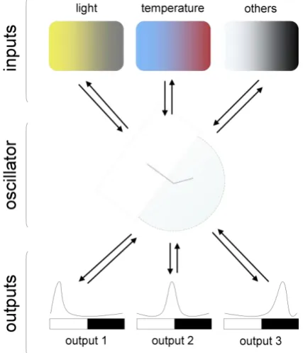 Figure 1. Classical organization of the circadian system. Input Pathways transmit the environmental 