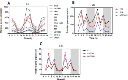 Figure 10. Oscillatory waveforms of anthocyanin-related genes. (A) Time course analysis over two 