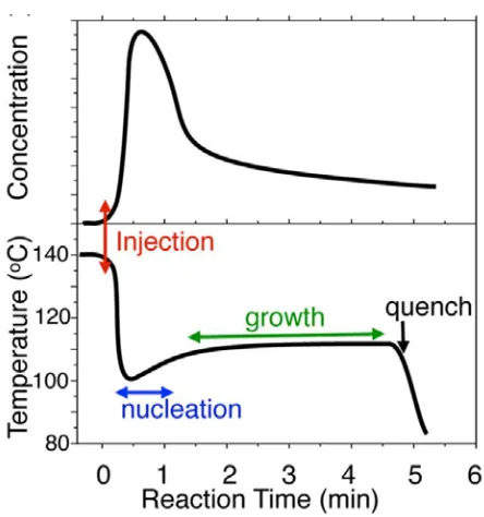 Figure 1. Typical concentration and reaction temperature profiles illustrating the temporal separation 