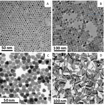 Figure 3. Examples of inorganic nanoparticles with different shape and morphologies synthetized by 