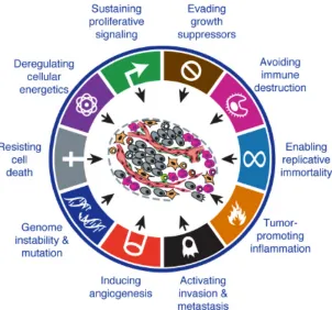 Figure 1. The hallmarks of cancer.  Ten biological capabilities acquired during the multistep development of human tumors (modified from Hanahan and Weinberg, 2011)