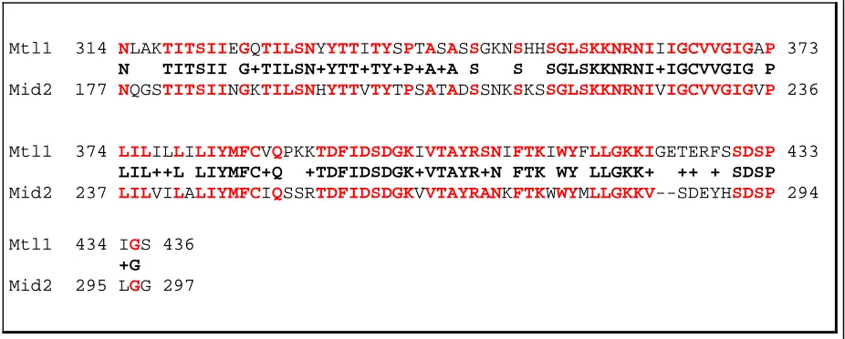 Figure 2. Sequence alignment of Mtl1 and Mid2 of Saccharomyces cerevisiae. Identical residues are in red 