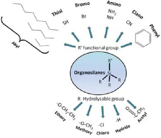 Figure 1.16 Common hydrolysable and functional R groups in organosilanes. 