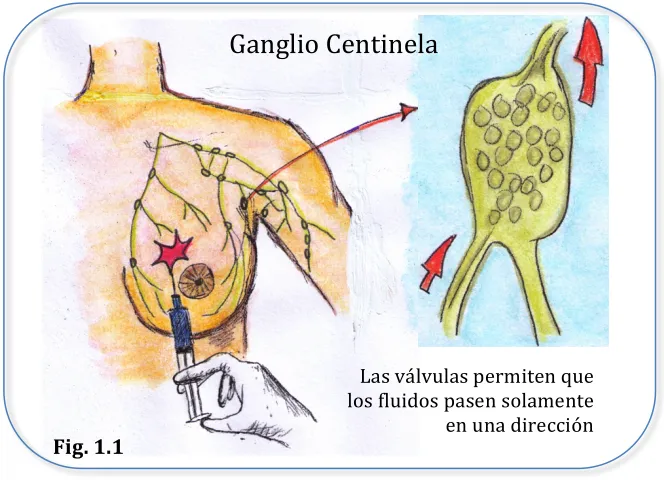 Fig.   1.1 