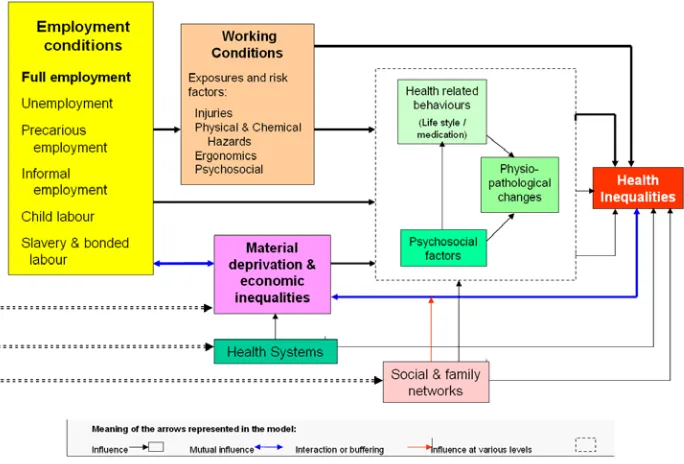 Figure 8 Micro - theoretical framework of Employment Conditions and Health 