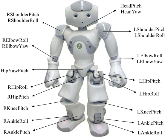 Figure 3.1: NAO humanoid robot