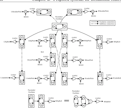 Figure 3.2: Proposed topology for the CPG network