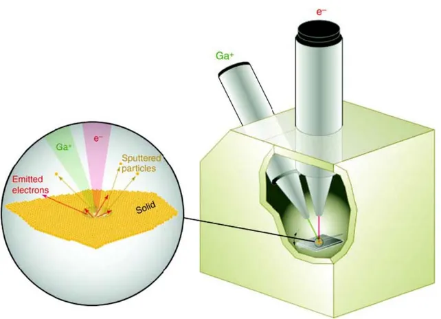 Figure 2.8. Schematic image of a dual-beam FIB-SEM instrument. The expanded view illustrates electrons and ion beam sample interaction [31]