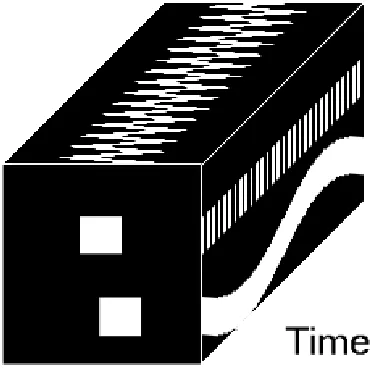 Figure 6.3: Temporal volume representation of the synthetic image sequence withtwo oscillatory motions.