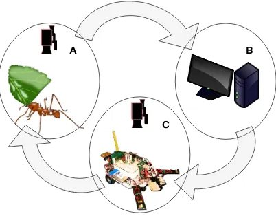 Figure 2.8: Insect behavioral analysis, modeling and testing on robots:A) Real-world ant experimental studies are performed and the behavior ofthe ant is recorded using a tracking camera